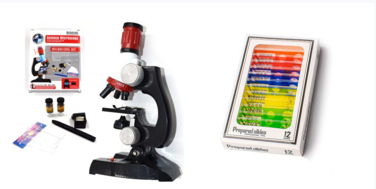 Child Biological Science And Education Microscope - Paule & Angels