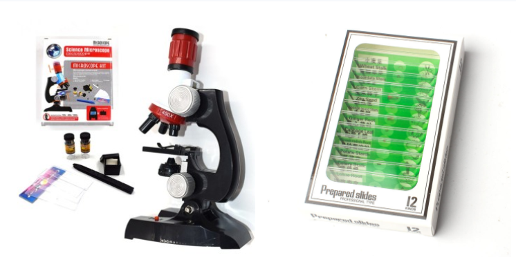 Child Biological Science And Education Microscope - Paule & Angels