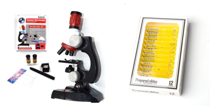 Child Biological Science And Education Microscope - Paule & Angels