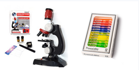 Image of Child Biological Science And Education Microscope - Paule & Angels