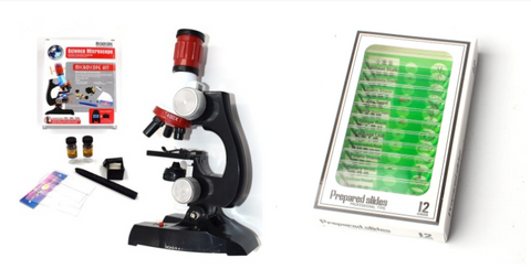 Image of Child Biological Science And Education Microscope - Paule & Angels