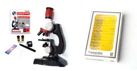 Image of Child Biological Science And Education Microscope - Paule & Angels