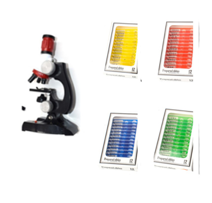 Image of Child Biological Science And Education Microscope - Paule & Angels