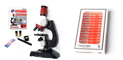 Image of Child Biological Science And Education Microscope - Paule & Angels