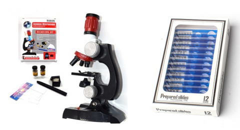 Image of Child Biological Science And Education Microscope - Paule & Angels